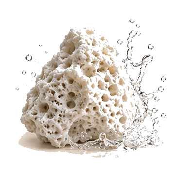 Marine-derived magnesium · transparent ingredient cut-out